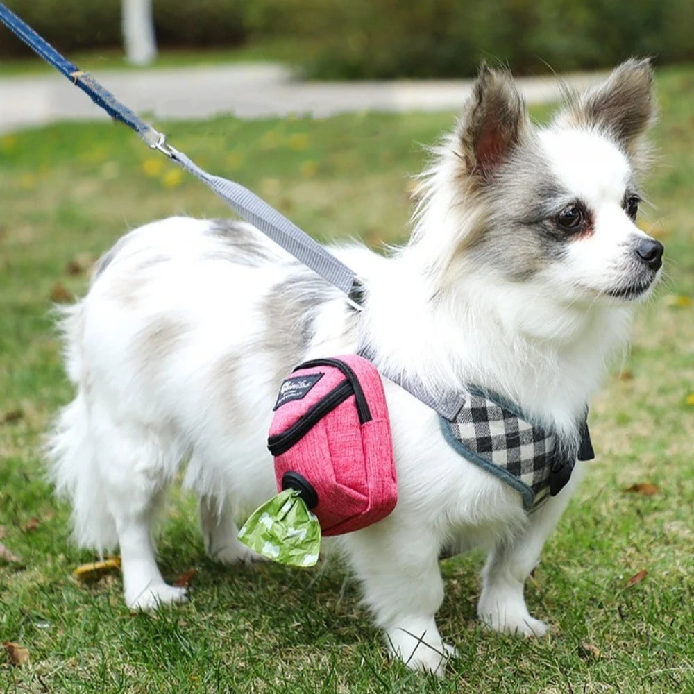 Pochette de Dressage pour Chien
