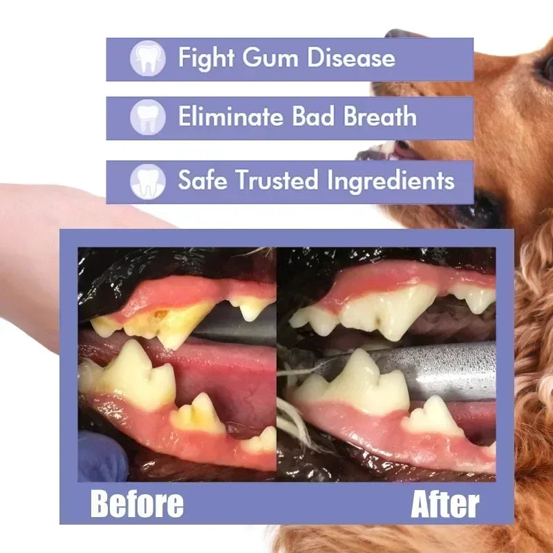 Spray Dentaire pour Chien et Chat – Haleine Fraîche & Dents Blanches