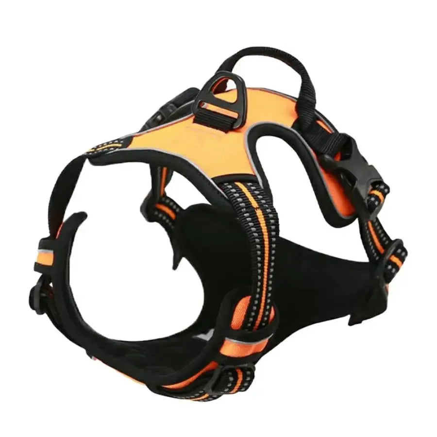 Harnais et laisse pour chien – Cuir & Accessoires