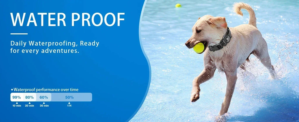 Collier pour Chien avec Support AirTag – Réfléchissant & Réglable