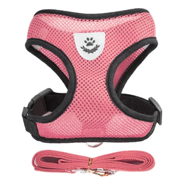Harnais gilet pour chat – Laisse de promenade réglable