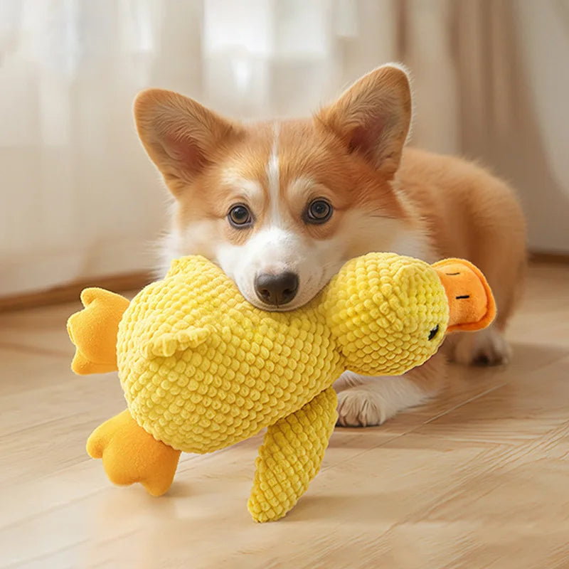 Jouet interactif en peluche pour chats et chiens mordeurs