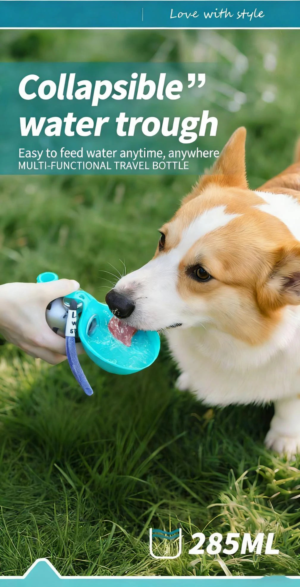 Gourde Portable 2-en-1 pour Chien – Inox & Silicone