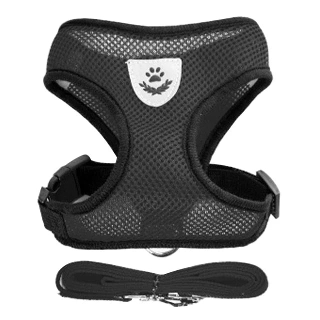 Harnais gilet pour chat – Laisse de promenade réglable