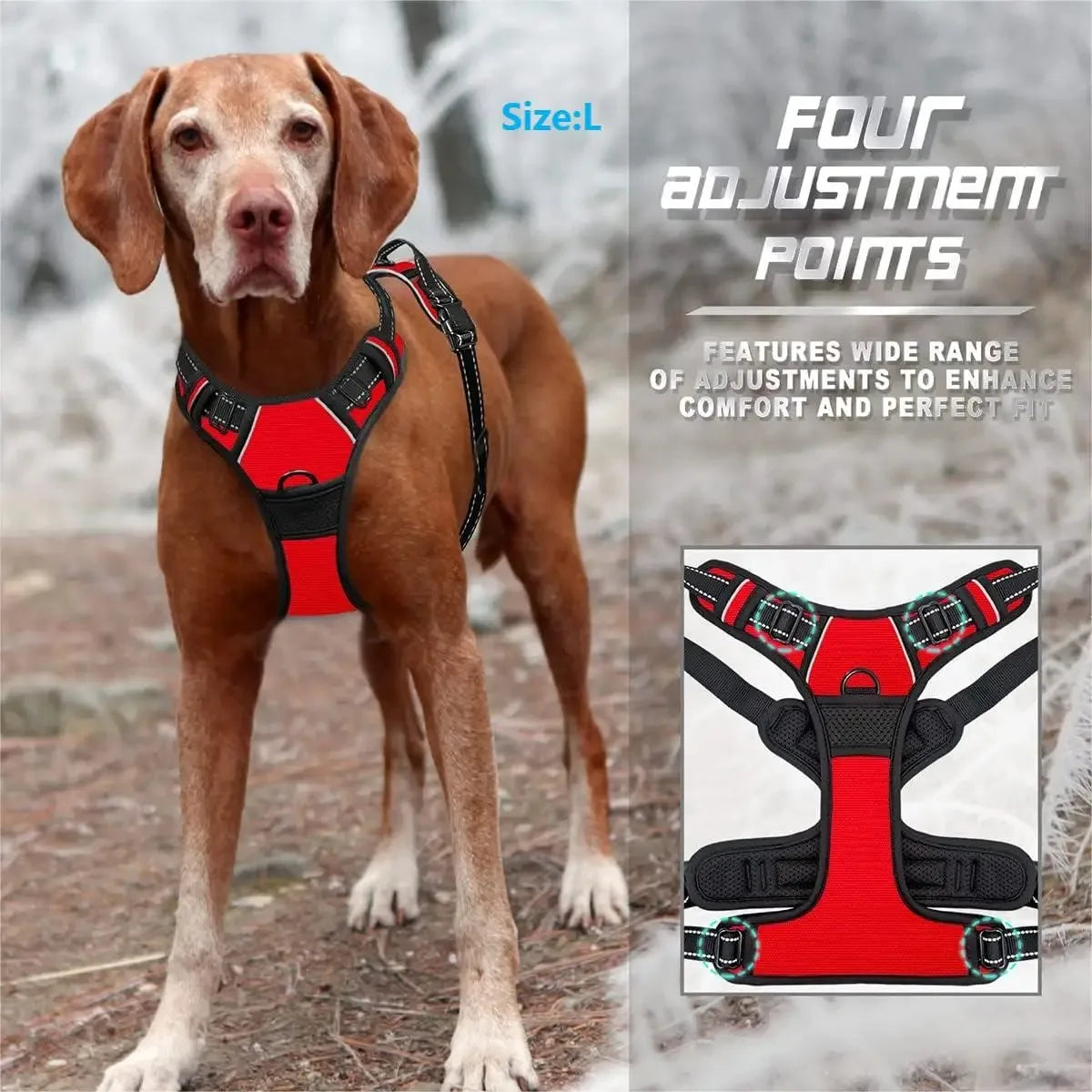 Harnais et laisse pour chien – Cuir & Accessoires