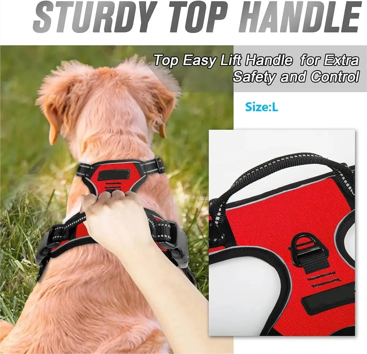 Harnais et laisse pour chien – Cuir & Accessoires