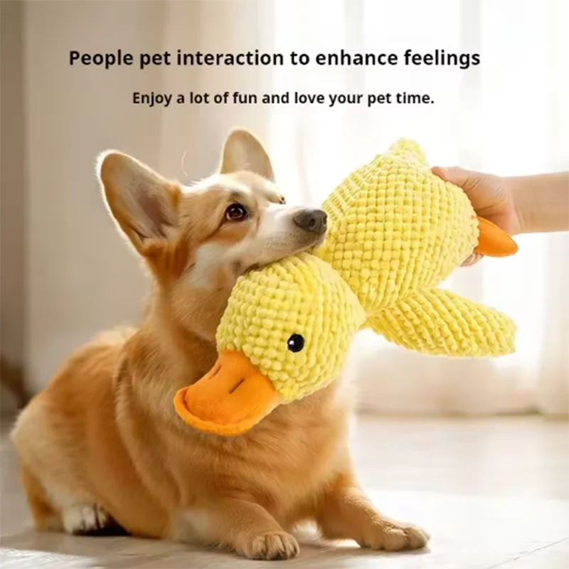 Jouet canard en peluche couinant pour chien