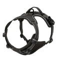 Harnais et laisse pour chien – Cuir & Accessoires
