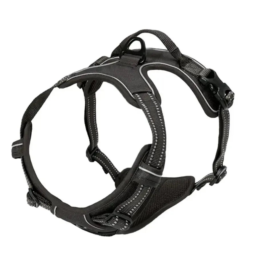 Harnais et laisse pour chien – Cuir & Accessoires