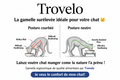 Gamelle Orthopédique Surelevée pour Chat 🐱 | Anti-Vomissement & Digestion | Trovelo